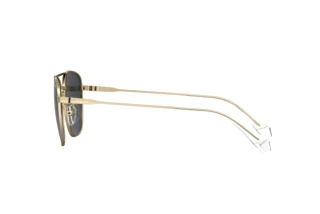 Seitenansicht Polaroid PLD 4172/G/S/X (2F7/M9)