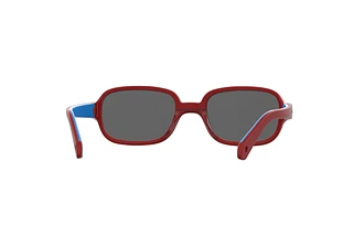 Rückansicht Polaroid PLD K003/S (C9A/M9)