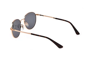 Seitenansicht Police SPLD94 (349Y)