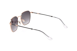 Seitenansicht Police SPLL06 (0302)