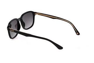 Seitenansicht Police SPLL81 (0700)