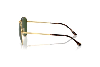 Seitenansicht Polo PH3149 (941171)