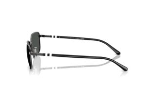 Seitenansicht Polo PH3159 (947987)