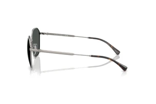 Seitenansicht Polo PH3160 (926687)