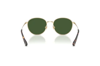 Rückansicht Polo PH3163 (928671)