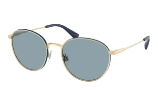 Vorderansicht Polo PH3163 (928672)