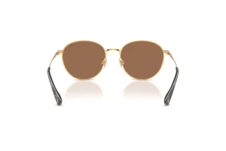 Rückansicht Polo PH3163 (940273)