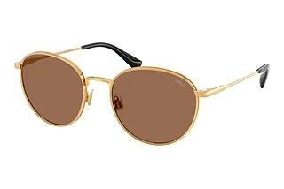 Polo PH3163 940273 Dark BrownShiny Brass