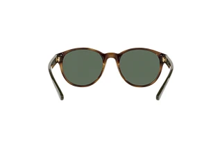 Rückansicht Polo PH4176 (500371)