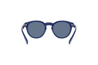 Rückansicht Polo PH4184 (523580)