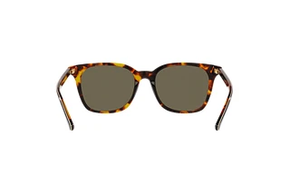 Rückansicht Polo PH4187 (5309/3)