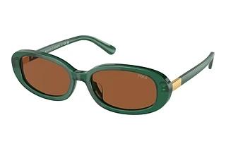 Polo PH4198U 619573 BrownShiny Transparent Green