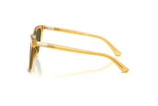 Seitenansicht Polo PH4201U (500571)