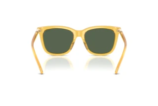 Rückansicht Polo PH4201U (500571)