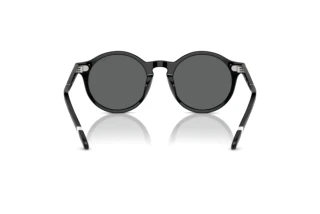 Rückansicht Polo PH4204U (500187)