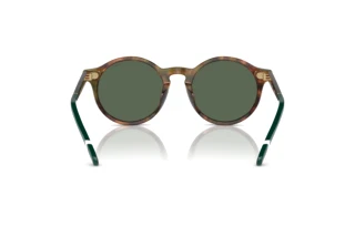 Rückansicht Polo PH4204U (501771)