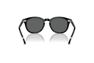 Rückansicht Polo PH4206 (500187)