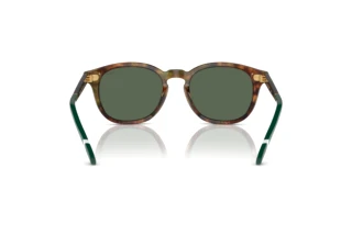 Rückansicht Polo PH4206 (501771)