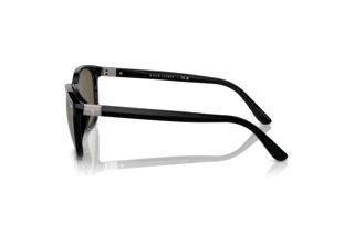 Seitenansicht Polo PH4208U (5001/3)