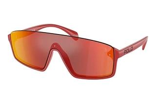 Polo PH 4211U 60916Q