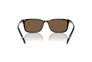 Rückansicht Polo PH4212 (500373)