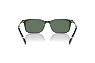 Rückansicht Polo PH4212 (614071)