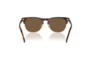 Rückansicht Polo PH4213 (613773)