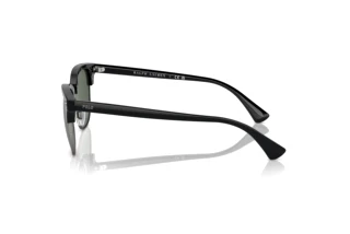 Seitenansicht Polo PH4217 (500171)