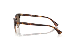 Seitenansicht Polo PH4217 (613773)