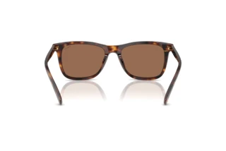 Rückansicht Polo PH4220U (613773)