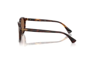 Seitenansicht Polo PH4221 (613773)