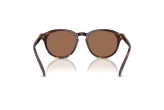 Rückansicht Polo PH4221 (613773)