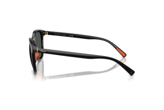 Seitenansicht Polo PH4222U (500187)