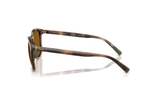 Seitenansicht Polo PH4222U (500383)