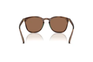 Rückansicht Polo PH4222U (597473)