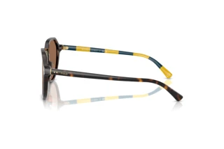 Seitenansicht Polo PH4223U (500373)