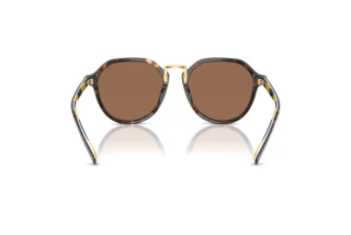 Rückansicht Polo PH4223U (500373)