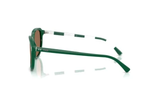 Seitenansicht Polo PH4225 (542173)