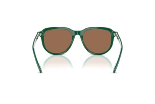 Rückansicht Polo PH4225 (542173)