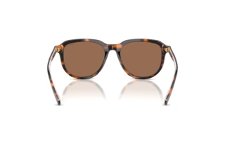 Rückansicht Polo PH4225 (613773)