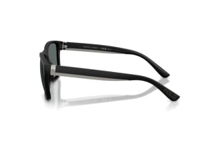 Seitenansicht Polo PH4229U (500181)