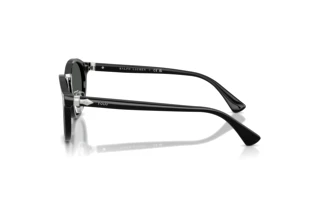 Seitenansicht Polo PH4230 (500187)