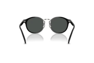 Rückansicht Polo PH4230 (500187)