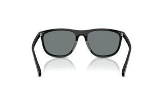 Rückansicht Polo PH4231U (500122)