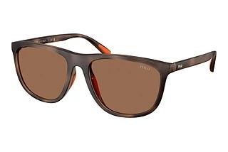 Polo PH4231U 597473 Dark BrownMatte Dark Havana