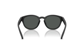 Rückansicht Polo PH4233U (550487)