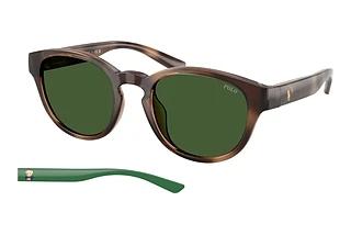 Polo PH4233U 607071 Bottle GreenShiny Dark Havana