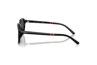 Seitenansicht Polo PH4234U (500187)