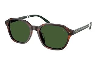 Polo PH4234U 631571 Bottle GreenShiny Striped Brown