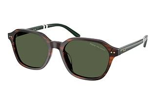 Polo PH4234U 63159A Polar GreenShiny Havana